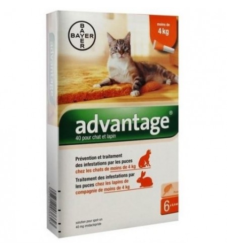 ADVANTAGE 40 GATO (<4KG,4 PIPETAS)